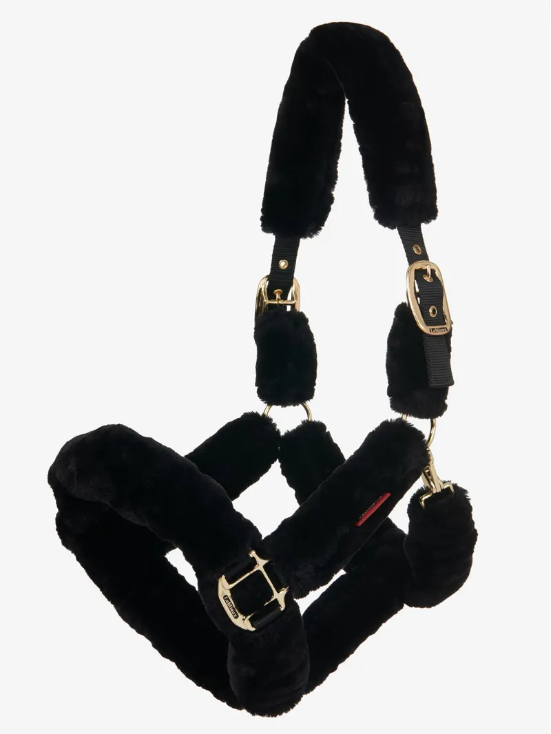 LeMieux Comfort Plus Headcollar X-Full in Black